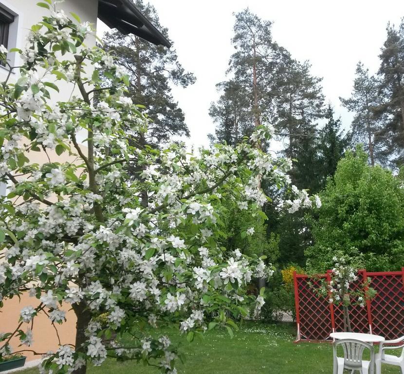 Ferienwohnung Kerth Sankt Kanzian am Klopeiner See Exteriér fotografie